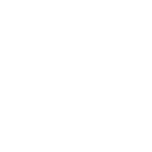 Customer Support Icon